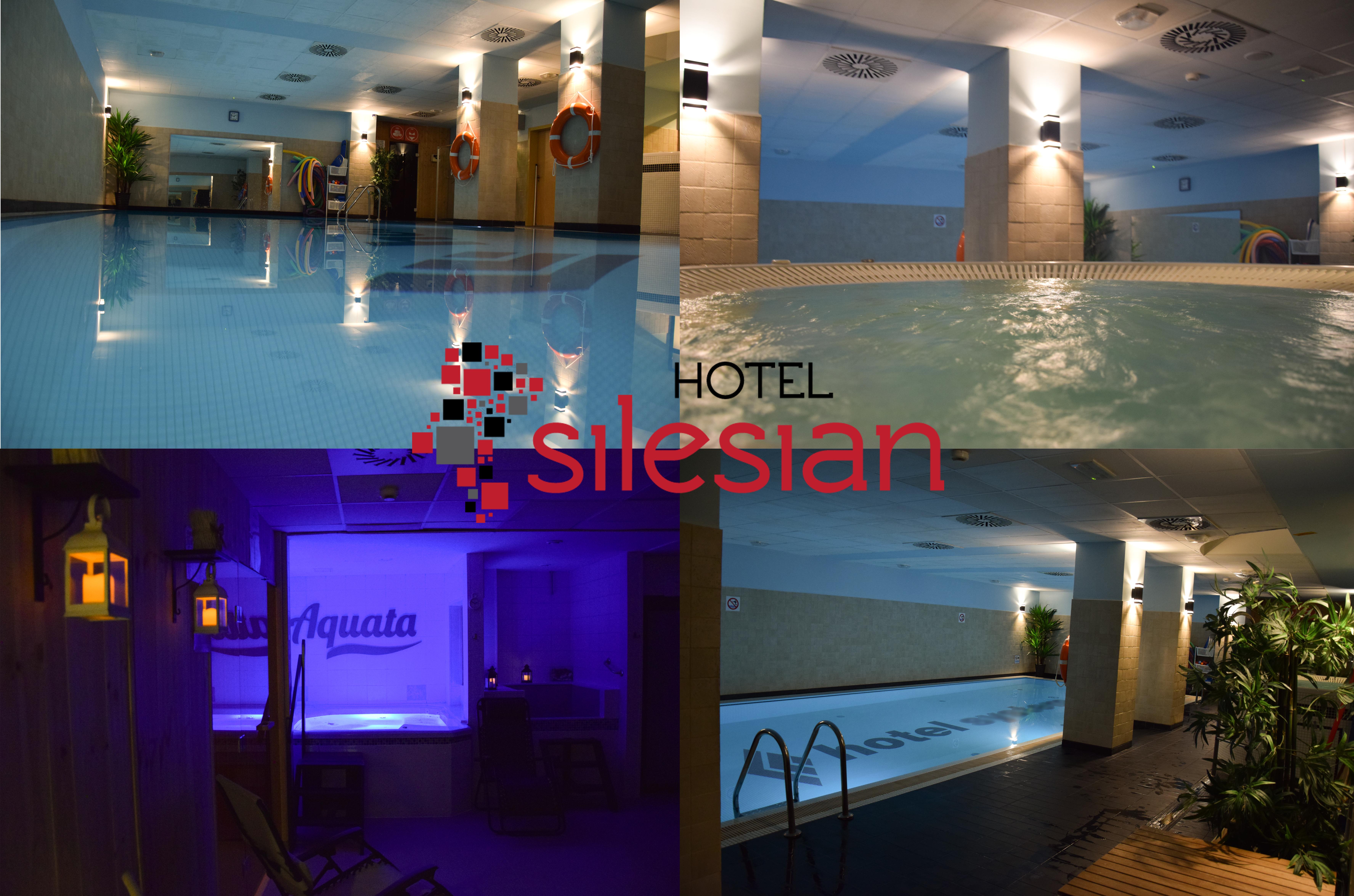 Economy Silesian Hotel Katowice Bagian luar foto