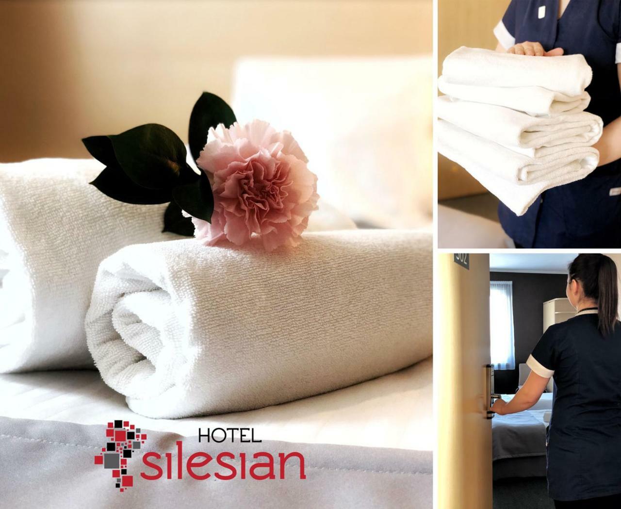 Economy Silesian Hotel Katowice Bagian luar foto